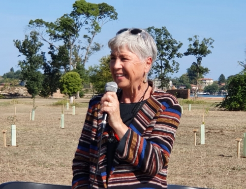 Alla Certosa di Venezia nasce il Bosco del Cinema dedicato ai Leoni d’Oro alla carriera e ai vincitori del Green Drop Award 2021